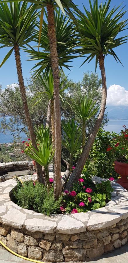 Margherita'S Holidays Home Agios Spyridon  Ngoại thất bức ảnh